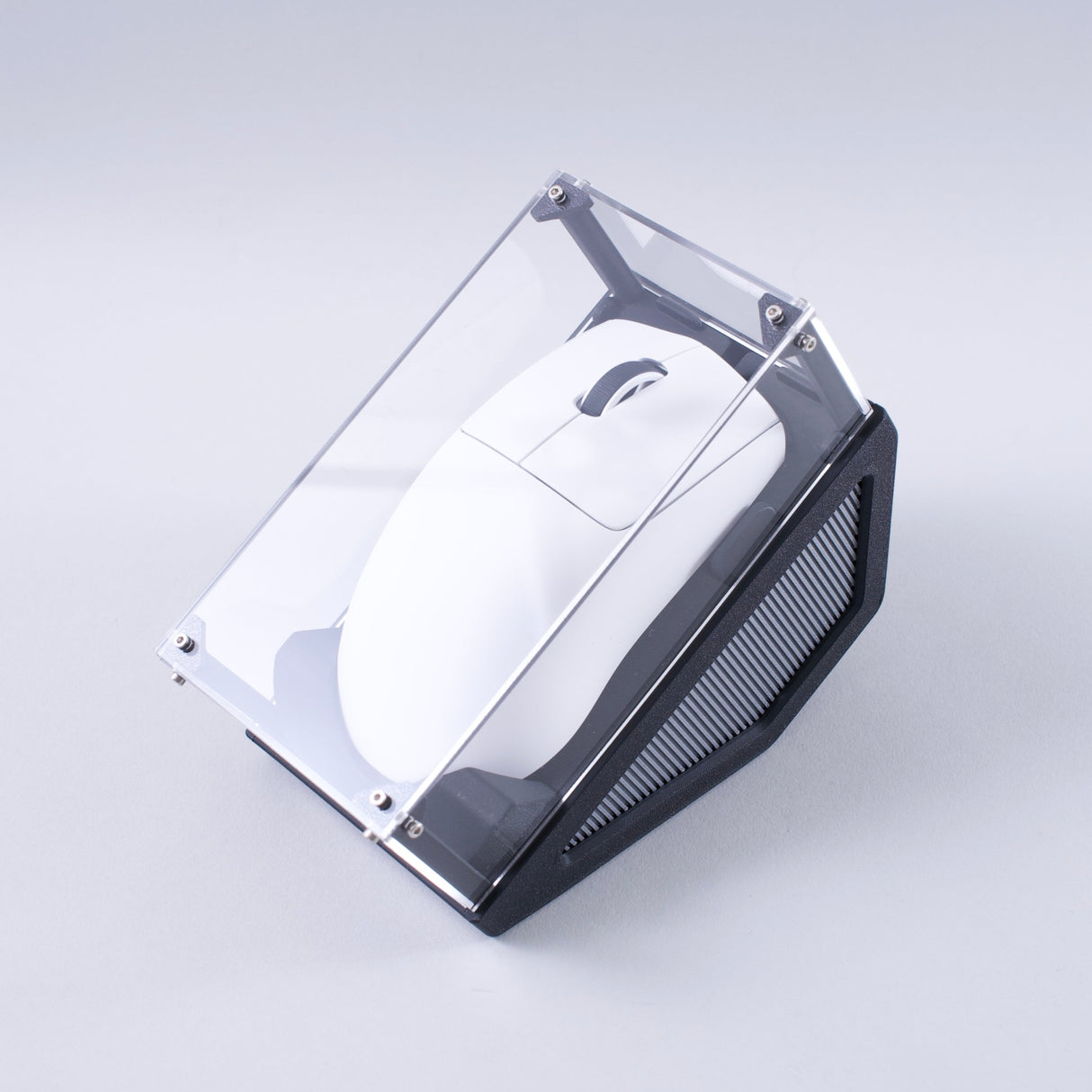 Mouse Display Case