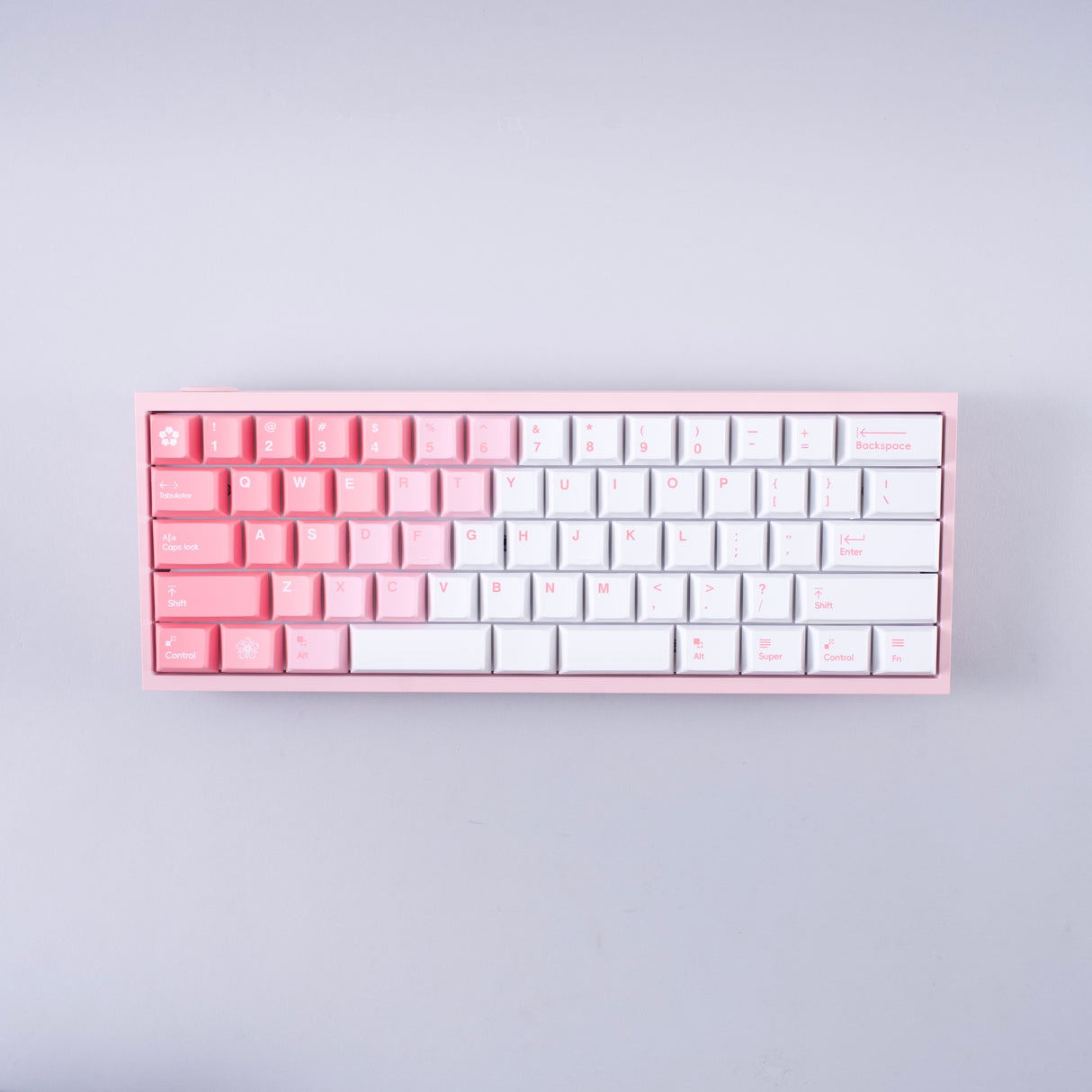 HYPE PRO CUSTOM|Fade Pink Edition