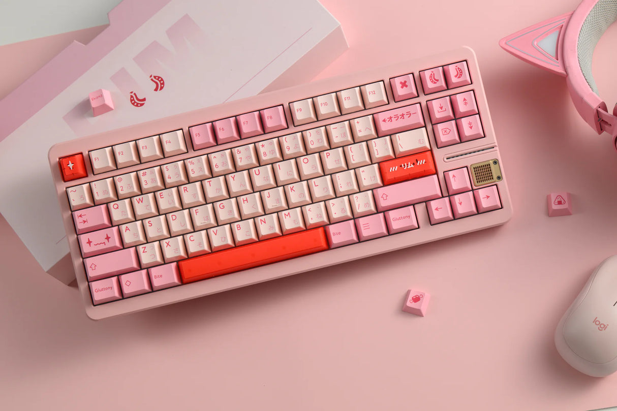 PBTfans Rim R2 Basekit