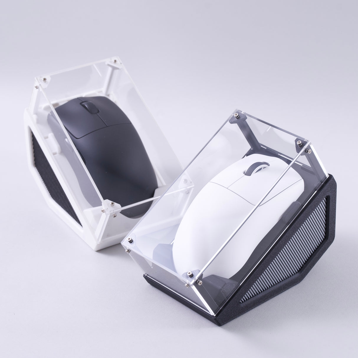 Mouse Display Case
