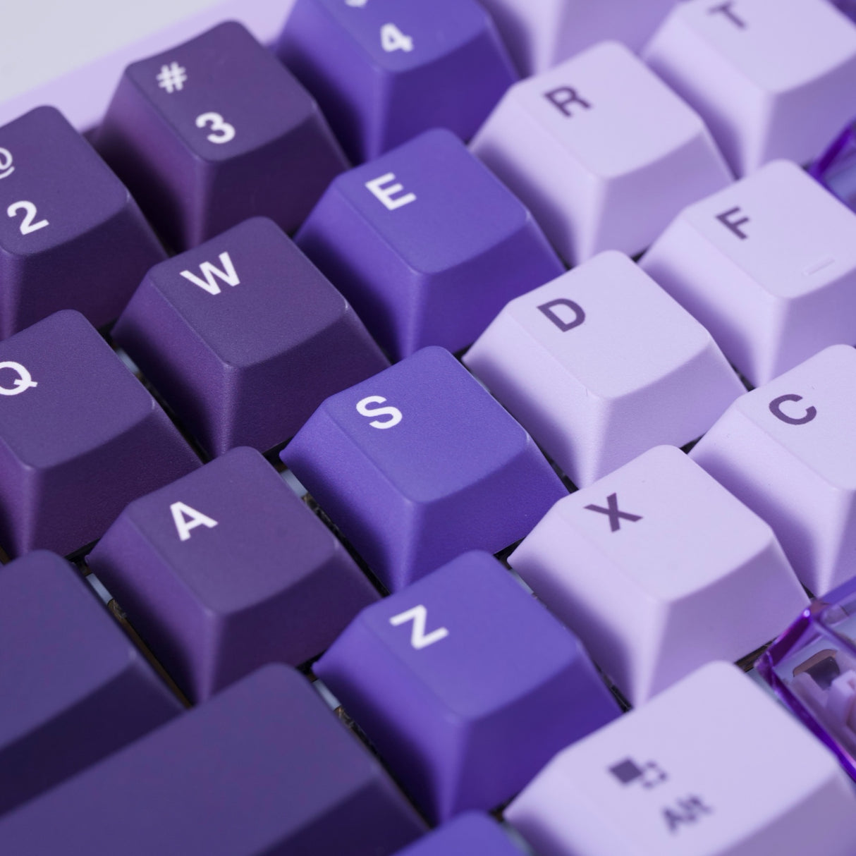HYPE PRO CUSTOM｜Sheer Purple Edition