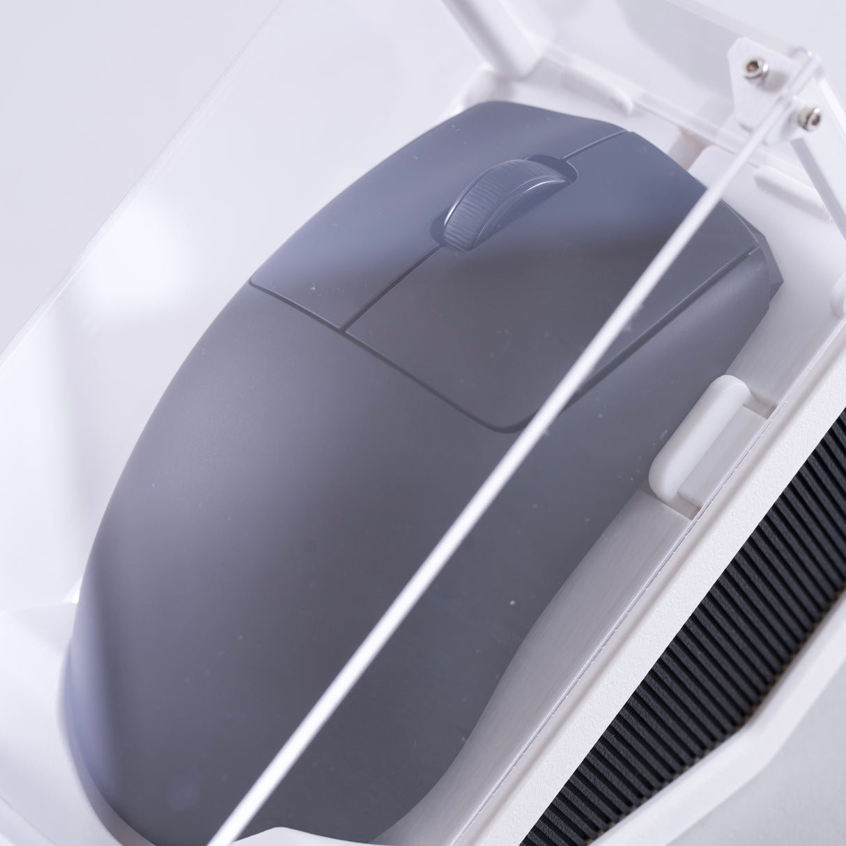 Mouse Display Case