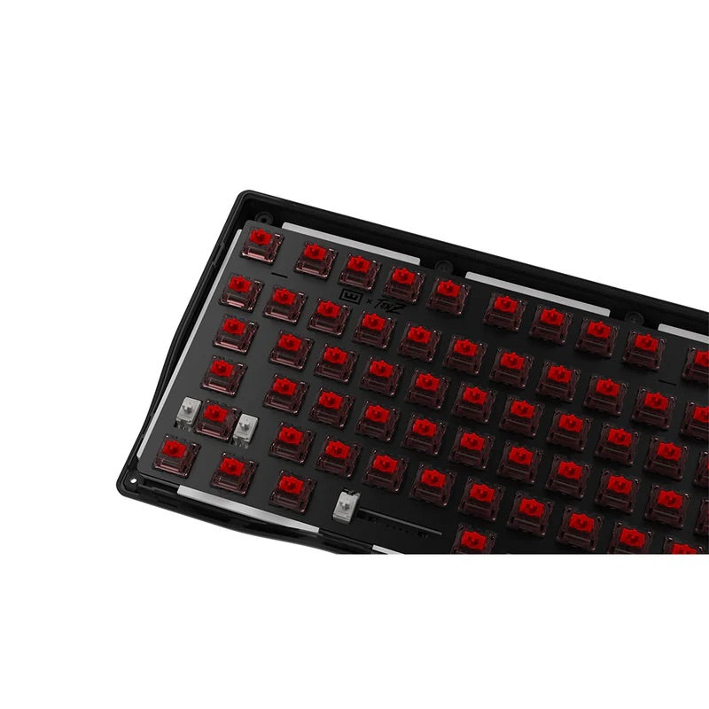 Wooting 80HE TenZ Takeover