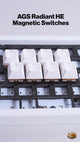 AGS Radiant HE Magnetic Switches【磁気式スイッチ】